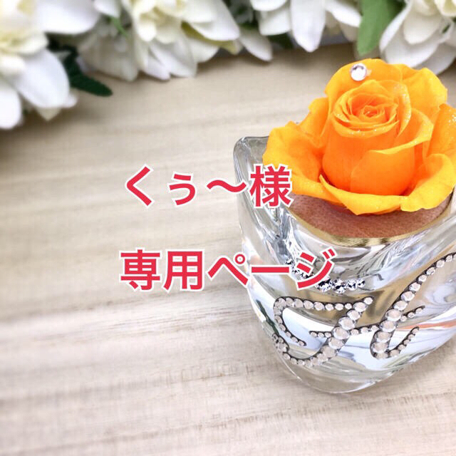 くぅ〜様 専用ページの通販 by glanzyu shop (グランジュ) |ラクマ