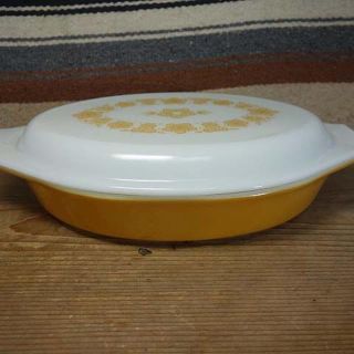 パイレックス(Pyrex)のオールドパイレックス バタフライゴールド ディバイデッドディッシュ 659(食器)