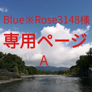 リンツ(Lindt)のBlue※Rose3148様専用ページ(菓子/デザート)