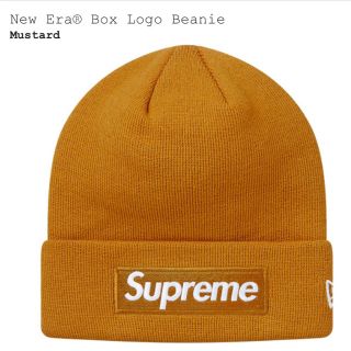 シュプリーム(Supreme)のSupreme box Logo beanie(ニット帽/ビーニー)