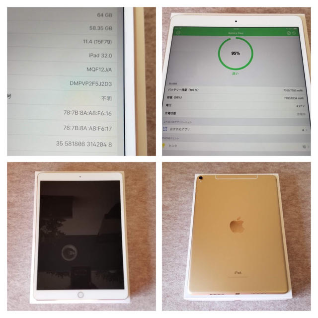 iPad Pro 10.5 Wi-Fi+cellular 64GB docomo