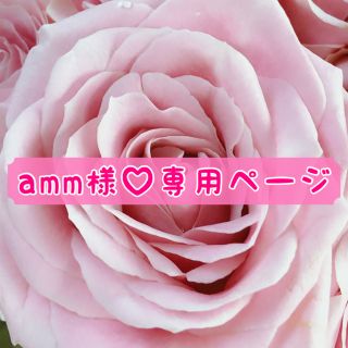 セーラームーン(セーラームーン)の【amm様♡専用】(その他)