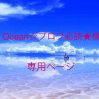 ナイキ(NIKE)のOcean☆プロフ必読★様 専用(その他)