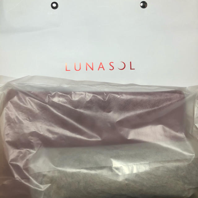 LUNASOL(ルナソル)のルナソル パーティコフレ ポーチ レディースのファッション小物(ポーチ)の商品写真