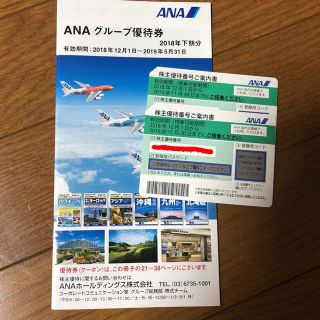 エーエヌエー(ゼンニッポンクウユ)(ANA(全日本空輸))のANA  全日空 株主優待 2枚  クーポン付  2019年11月30日まで(その他)