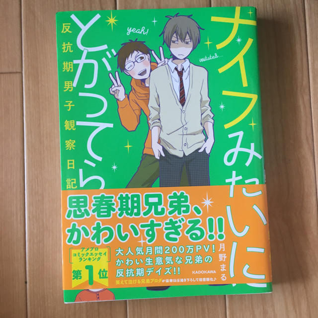 角川書店(カドカワショテン)のナイフみたいにとがってら エンタメ/ホビーの漫画(女性漫画)の商品写真