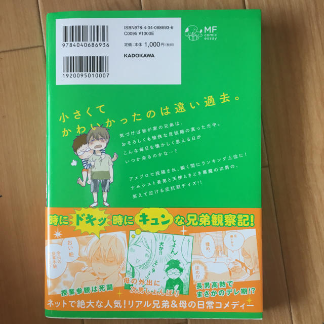 角川書店(カドカワショテン)のナイフみたいにとがってら エンタメ/ホビーの漫画(女性漫画)の商品写真
