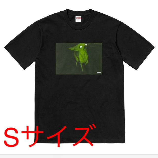 Supreme week12 tee Sメンズ