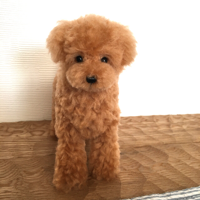 羊毛フェルト トイプードル 犬 ハンドメイドのぬいぐるみ/人形(ぬいぐるみ)の商品写真