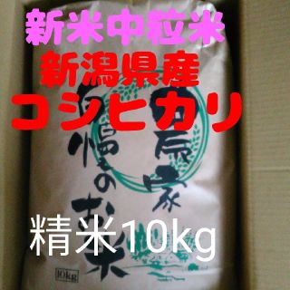 新米新潟県産コシヒカリ中粒10キロ精米(米/穀物)