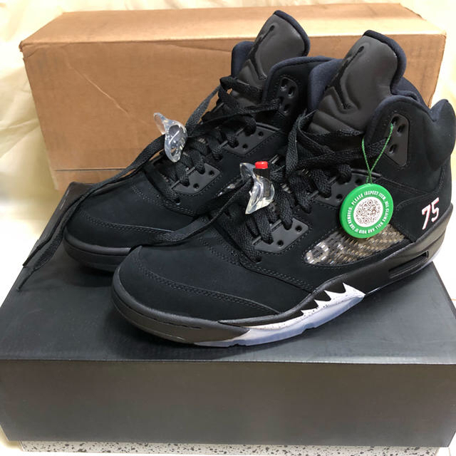 Jordan 5 Retro Paris Saint-Germain PSG