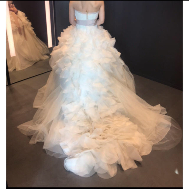 Vera Wang(ヴェラウォン)のVera Wang Hayley ヘイリー US2 ウェディングドレス レディースのフォーマル/ドレス(ウェディングドレス)の商品写真