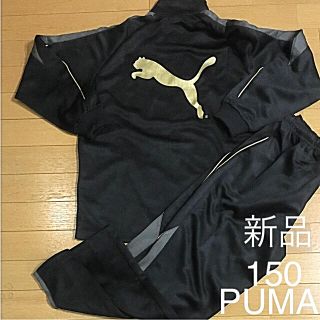 プーマ(PUMA)のプーマ ジャージ上下 セットアップ 150㎝ 新品 ジュニア(ジャケット/上着)