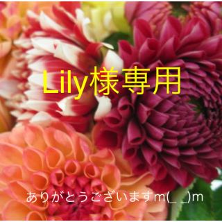 エーアーベー(e.a.B)の☆Lily様専用☆120センチ☆eaBフリースジャケット☆b-ROOMロンT☆(ジャケット/上着)