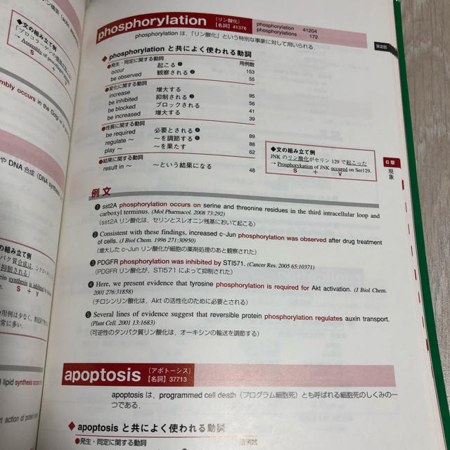 ライフサイエンス 論文を書くための英作文＆用例500 エンタメ/ホビーの本(語学/参考書)の商品写真