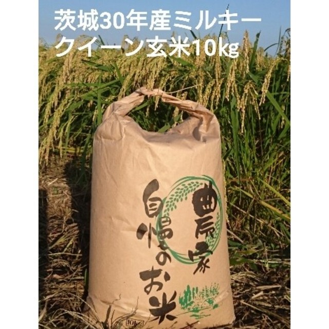 茨城30年産新米ミルキークイーン玄米10㎏　米/穀物