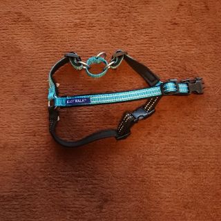 イージーウォーク(正規品)Sサイズ 値下げ💴⤵️(犬)