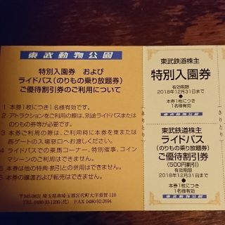 イルミネーション期間中！ 1名様分 東武動物公園入園券+ライドパス割引券(遊園地/テーマパーク)