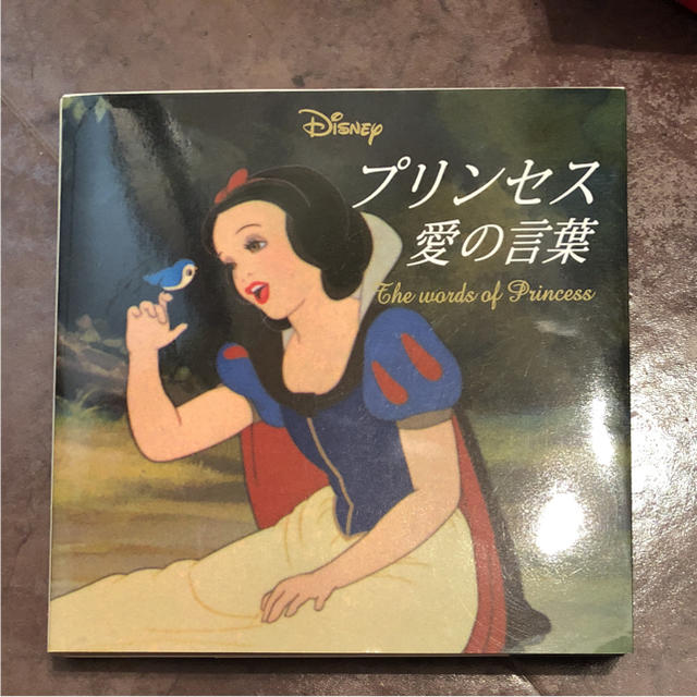 Disney(ディズニー)のDisney プリンセス 本  値下げ エンタメ/ホビーの本(ノンフィクション/教養)の商品写真