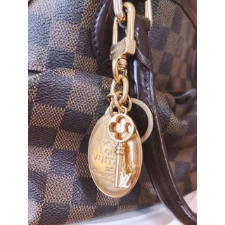 ルイヴィトン(LOUIS VUITTON)のりん様専用 LOUISVUITTON チャーム (チャーム)