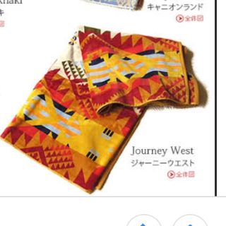 ペンドルトン(PENDLETON)のペンドルトン タオルブランケット ジャーニーウェスト(その他)