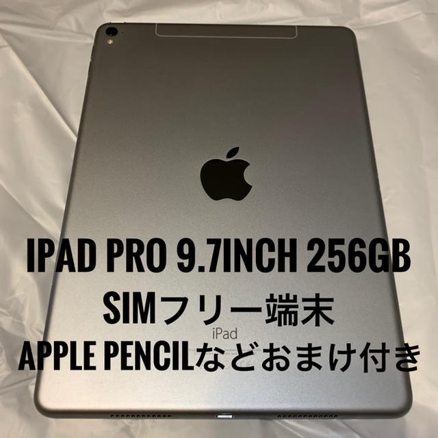 美品 Apple iPad 第6世代 128GB セット可