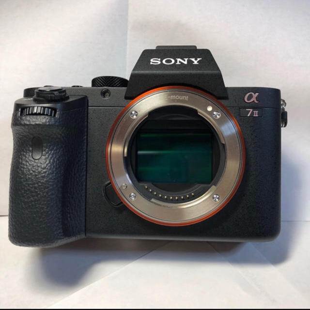 SONY(ソニー)のSony a7iiレンズのみ50mmf1.8 シャターカウント1769 スマホ/家電/カメラのカメラ(ミラーレス一眼)の商品写真