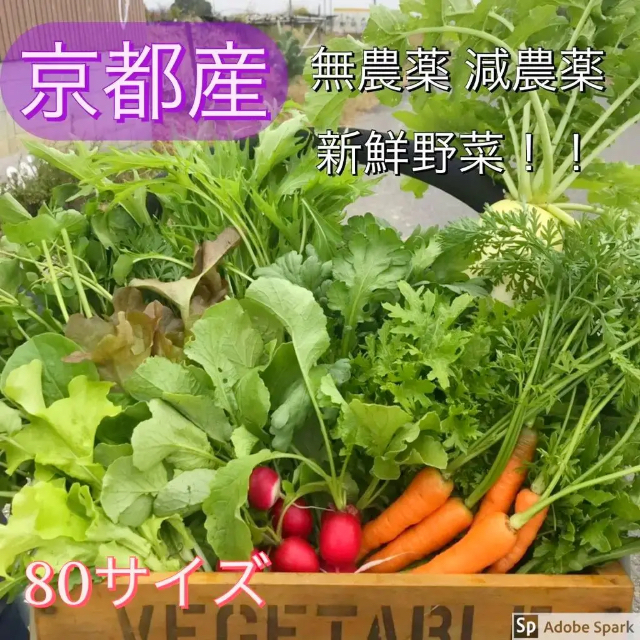 新鮮無農薬野菜 減農薬野菜！京野菜詰め合わせ 食品/飲料/酒の食品(野菜)の商品写真