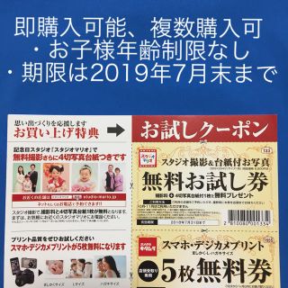 キタムラ(Kitamura)のAYANさま専用 3枚✨スタジオマリオ 無料お試し券 ＋おまけ割引券(その他)