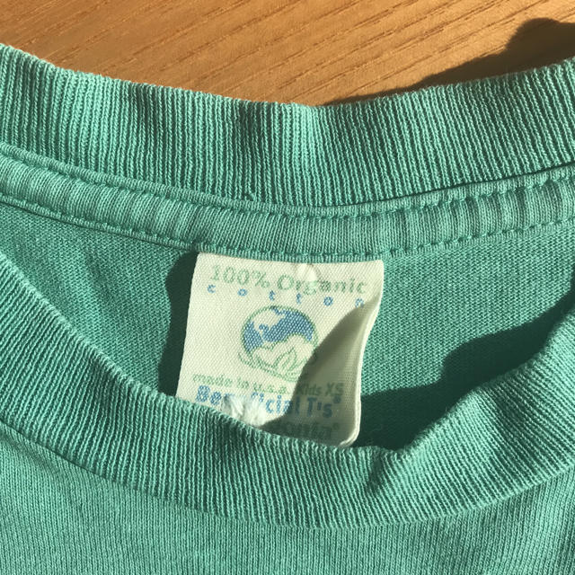 patagonia(パタゴニア)のpatagonia レディース  tシャツ  レディースのトップス(Tシャツ(半袖/袖なし))の商品写真