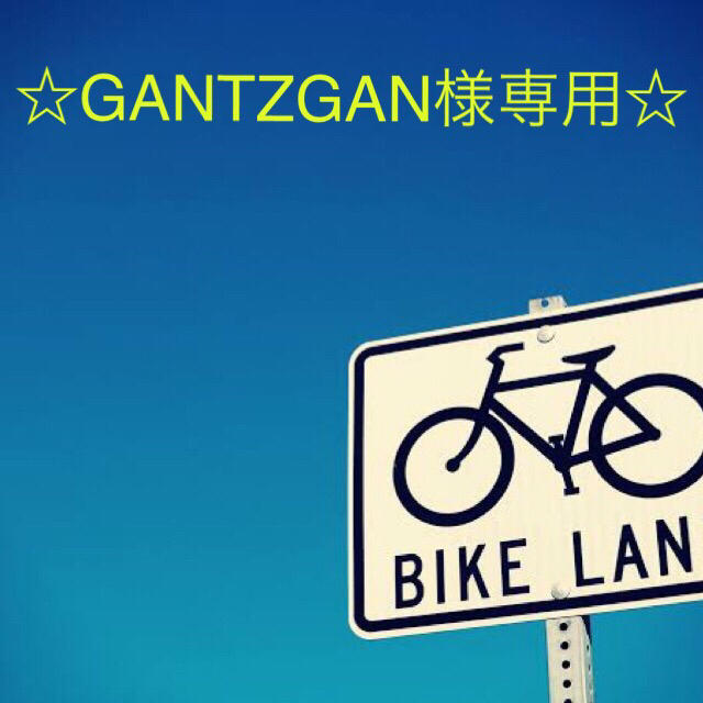 ロート製薬(ロートセイヤク)の☆GANTZGAN様専用☆ その他のその他(その他)の商品写真