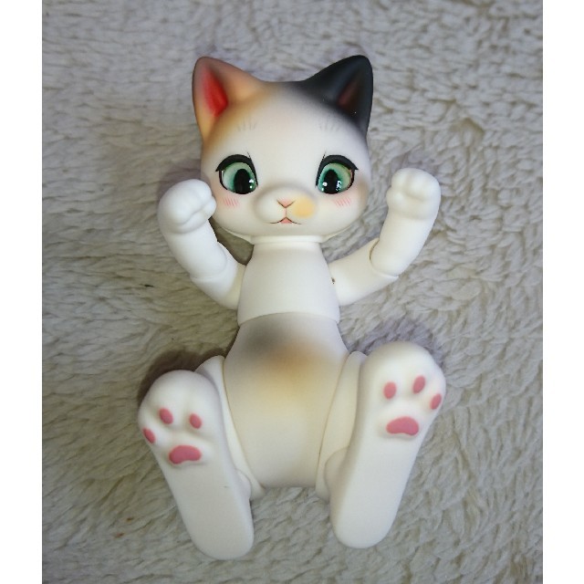 美品 Cocoriang Mocka ココリアン モカ ネコ ドール 人形 ienomat.com.br