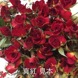 ミニバラ mix ドライフラワー★シリカゲル乾燥20輪セット★おまけ付き★薔薇(ドライフラワー)