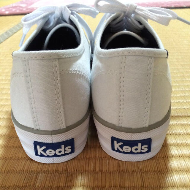 kedsキャンバススニーカー 24.5 レディースの靴/シューズ(スニーカー)の商品写真