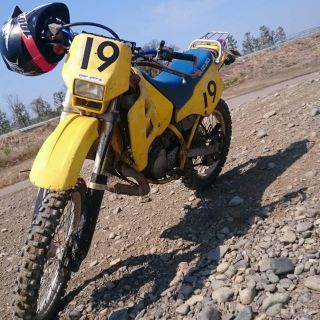 スズキ(スズキ)のts125r(車体)