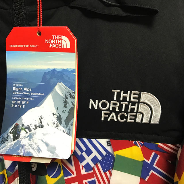 THE NORTH FACE(ザノースフェイス)のNorthFace オリンピック限定ダウンジャケット 新品Lサイズ  メンズのジャケット/アウター(ダウンジャケット)の商品写真