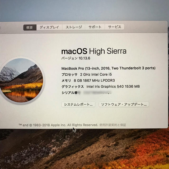 Mac pro late2016 13.3 i5の通販 by からあげ's shop｜マックならラクマ (Apple) - kobayashi様専用MacBook お得日本製