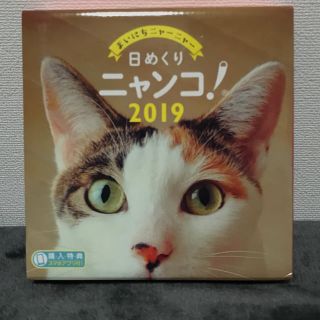 ネコミミ(necomimi)の日めくりニャンコ！ 2019 日めくりにゃんこ(カレンダー/スケジュール)