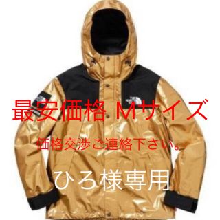 シュプリーム(Supreme)のSupreme The North Face Metallic Parka(マウンテンパーカー)