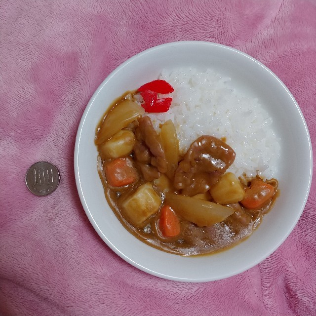 カレーライス サンプル👳🍛 エンタメ/ホビーのコレクション(その他)の商品写真