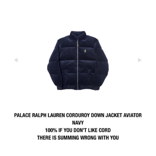 Ralph Lauren(ラルフローレン)のpalace ralph lauren ダウンジャケット Mサイズ 早い者勝ち メンズのジャケット/アウター(ダウンジャケット)の商品写真