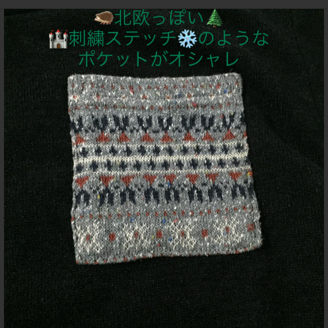 HONEYS(ハニーズ)の新品☆ハニーズ オシャレな北欧刺繍風ポケットヘビロテ確実カットソー Lサイズ レディースのトップス(カットソー(長袖/七分))の商品写真