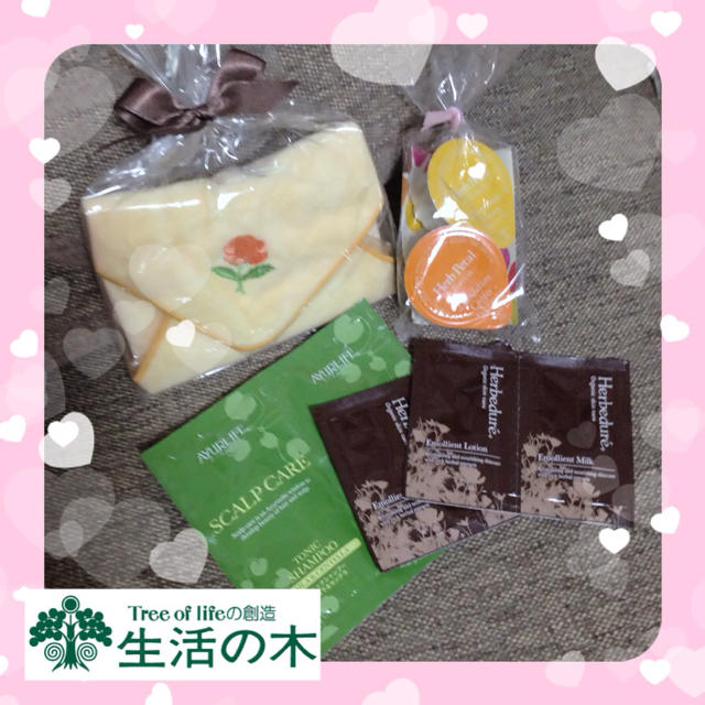 HACCI(ハッチ)の*送料込* 生活の木サンプル＋ＨＡＣＣＩ その他のその他(その他)の商品写真