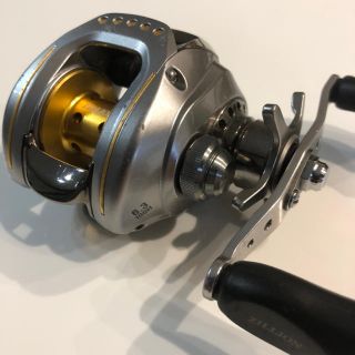 ダイワ(DAIWA)のきわ様専用   DAIWA TDジリオン 100H(リール)