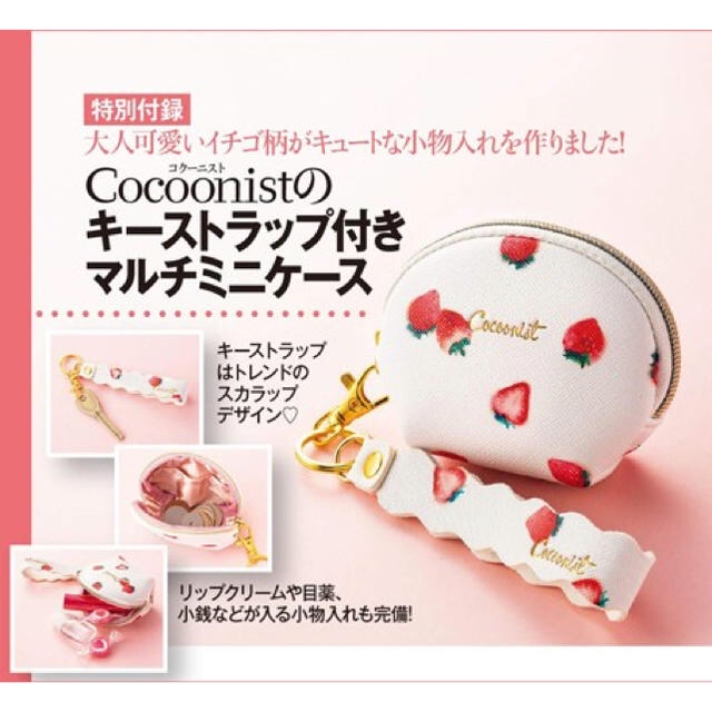 Cocoonist(コクーニスト)の【新品未開封】美人百花 12月号 付録 コクーニスト マルチミニケース レディースのファッション小物(ポーチ)の商品写真