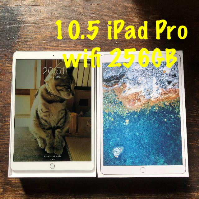 ⑨ 10.5 iPad Pro 第2世代 wifi 256gb