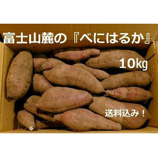 「べにはるか」10kg 富士山麓のとれたて「さつま芋」　送料込み！(野菜)