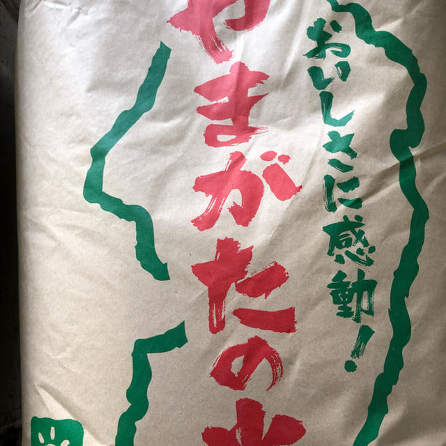 米/穀物　はえぬき　送料込み　新米　山形県産　平成30年産　白米24キロ