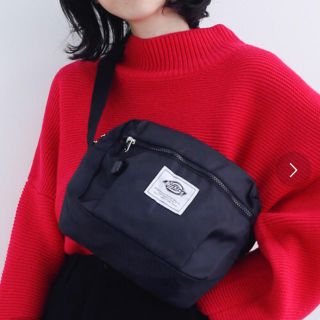 ディッキーズ(Dickies)のDickies✴︎ミニショルダーバッグ(ショルダーバッグ)