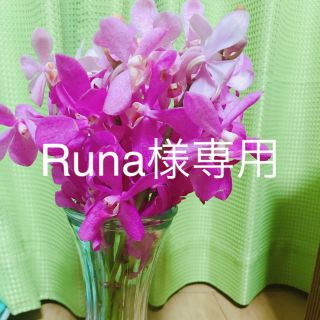 Runa様専用(アイドルグッズ)